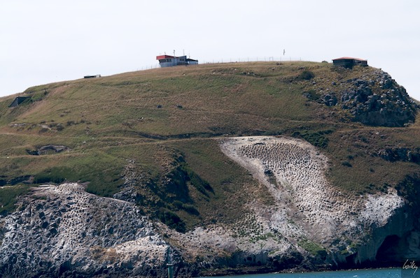 New Zealand 09 10  188